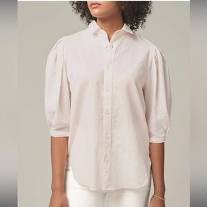 Citizens Of Humanity Ines Pleat Half Sleeve Shirt in Flora Stripe Medium